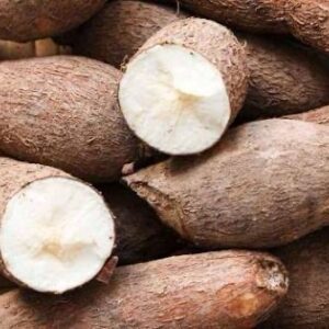 Yuca x kilo
